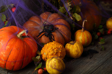 Halloween holiday decorations with pumpkin
