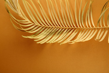 Yellow tropical background