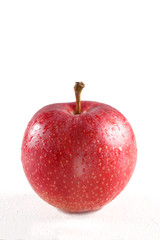 red apple isolated on white background