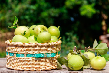 Fresh ripe apples in basket on the rustic wooden table outdoor
