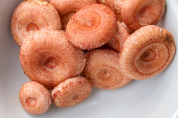 Mushrooms volnushki raw collected lie on a white plate