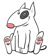 bullterrier_02