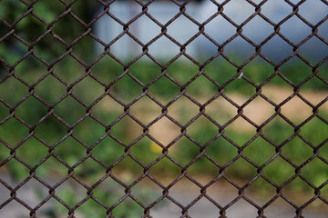 Fototapeta premium Рабица