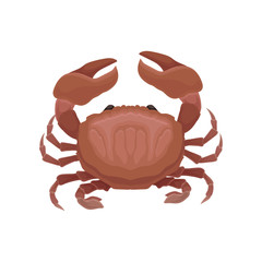 Flat vector icon of red crab. Marine creature with big claws. Seafood theme. Element for advertising poster, flyer or menu