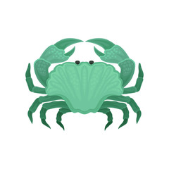 Flat vector icon of green crab. Marine creature with big claws. Sea animal. Element for print, children book or mobile game