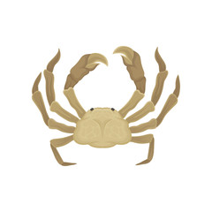 Flat vector icon of crab with big claws. Sea animal. Marine creature. Element for promo poster, cafe or restaurant menu