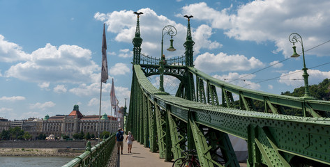 The Freedom Bridge - Budapest - Hungary