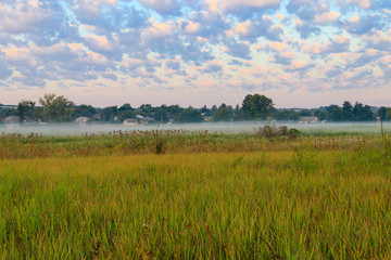 Summer landscape with green misty meadow, trees and sky. Fog on the grassland