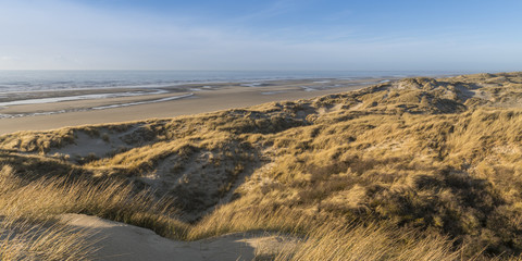 Les dunes du Marquenterre, entre Fort-Mahon et la Baie d'Authie