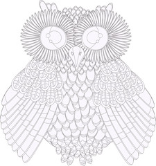 vector illustration  owl, coloring, black and white