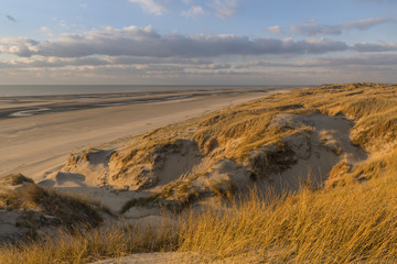 Les dunes du Marquenterre, entre Fort-Mahon et la Baie d'Authie.