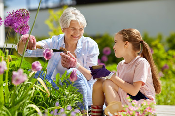 gardening, family and people concept - happy grandmother and granddaughter planting flowers at...