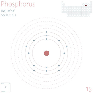 Large and colorful infographic on the element of Phosphorus.