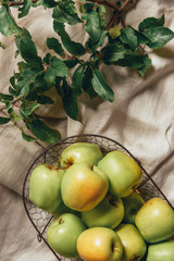 green apples in metal basket with apple tree leaves on sacking cloth
