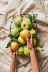 woman holding metal basket with green apples and leaves on sacking cloth