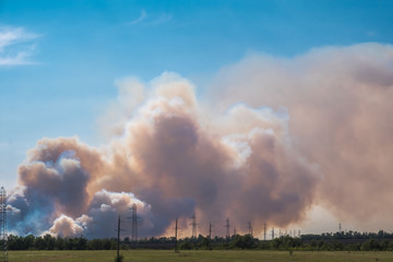 a big cloud of thick smoke rising from the ground to the clear blue sky on a summer day