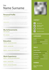 Professional personal resume cv in green design with effects