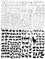 isolated outlines and silhouette of animals, set