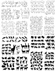 Fototapeta na wymiar vector, isolated outlines and silhouette of animals, set