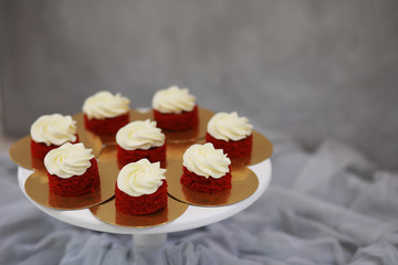 Beautiful festive cake biscuit with different creams