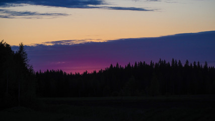 Fototapeta premium silhouettes of finnish forest an sunset