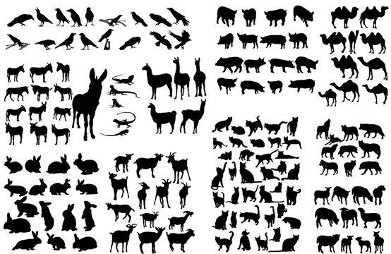 silhouette of an animal, large set