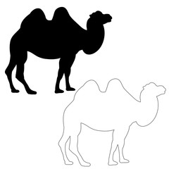 silhouette of a camel on a white background