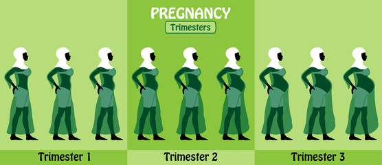 Pregnancy trimesters of pregnant black muslim woman with hijab and transparent dress - obrazy, fototapety, plakaty