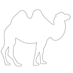 isolated, outline camel