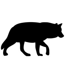 isolated silhouette wolf on white background