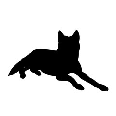 vector, isolated silhouette wolf, predator