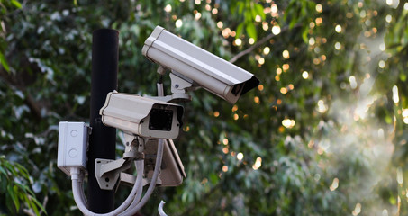 many cctv camera in garden with bokeh sunset green nature , safety concept.