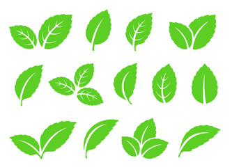 hand drawn abstract mint leaves set icons - 223009009