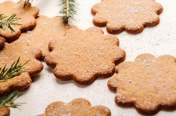 Sweet thin ginger cookies on white background with powdered sugar and spruce branches. Festive pastry, Christmas Eve.