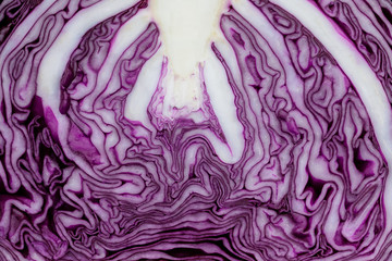 Obraz premium red cabbage texture fragment