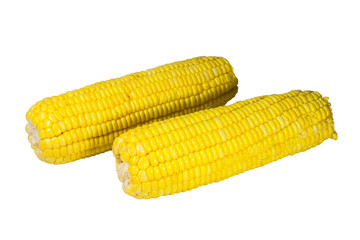 Corn isolated on white