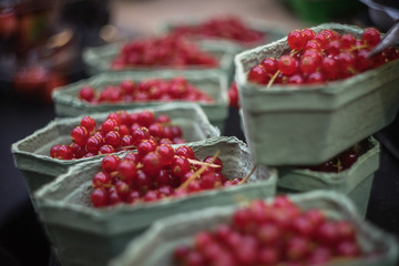 Red currants