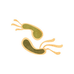 Illustration of green Helicobacter pylori. Bacteria with flagella. Biology microorganism. Flat vector with texture