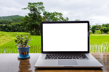 blank screen of laptop with plant vase on wooden table, Paddy fields, Landscape view