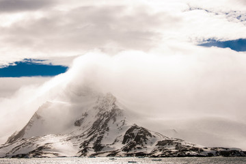 Beautiful shots of cute penguins in the Antarctica snow