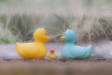Colorful decoration plastic duck family
