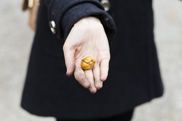 castagne