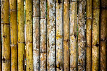 High detail of old bamboo wall close up.