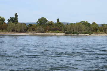 Rhein bei Mühleim-Kärlich