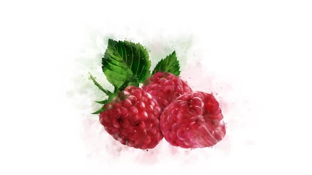Watercolor Raspberry, set for video editing
