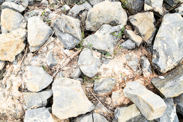 Stone on the ground