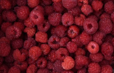 	A lot of red ripe raspberries 