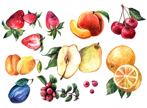 Hand drawn watercolor set of illustration with fruits and berrie