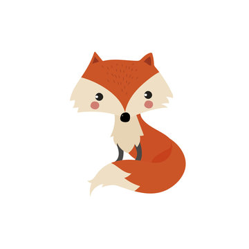 cute isolated fox