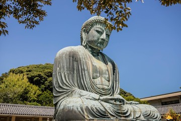 Obraz premium Buda Daibutsu